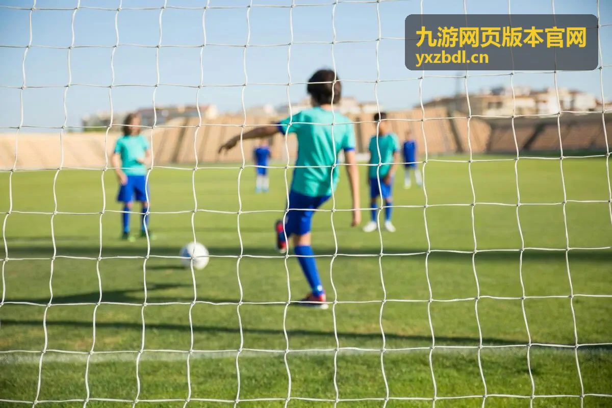 九游网页版本官网版本状态核对页面示意图