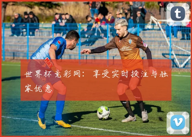 世界杯竞彩网：享受实时投注与独家优惠