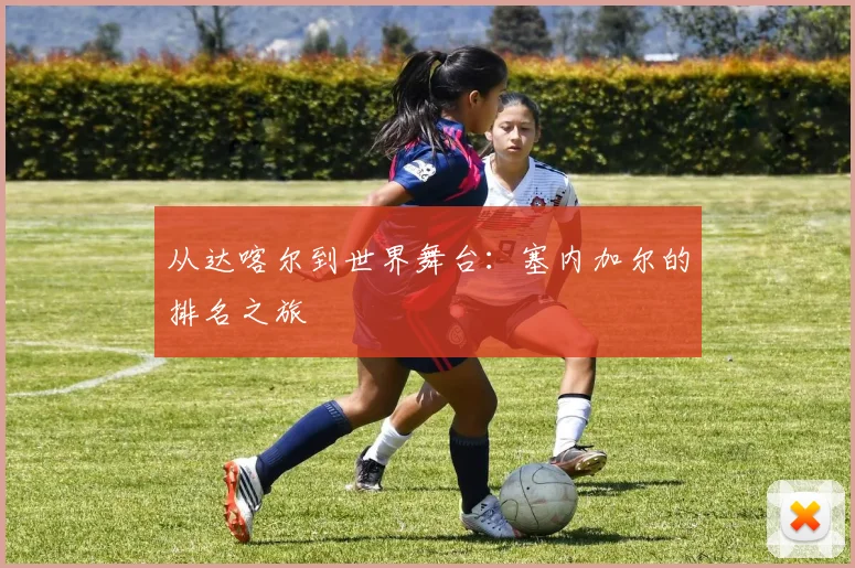 从达喀尔到世界舞台:塞内加尔的排名之旅