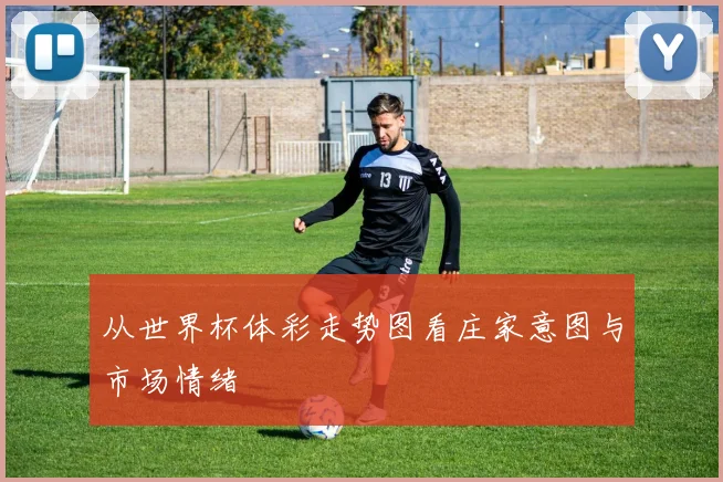 从世界杯体彩走势图看庄家意图与市场情绪