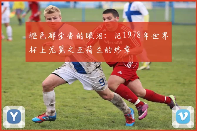 橙色郁金香的眼泪：记1978年世界杯上无冕之王荷兰的终章