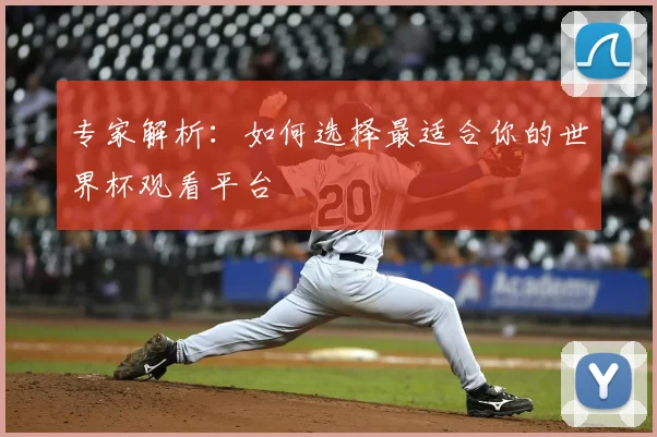 专家解析:如何选择最适合你的世界杯观看平台