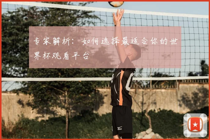 专家解析:如何选择最适合你的世界杯观看平台