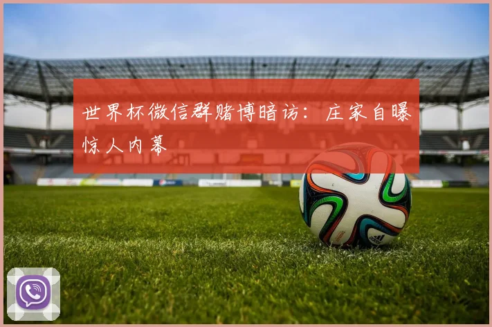 世界杯微信群赌博暗访：庄家自曝惊人内幕