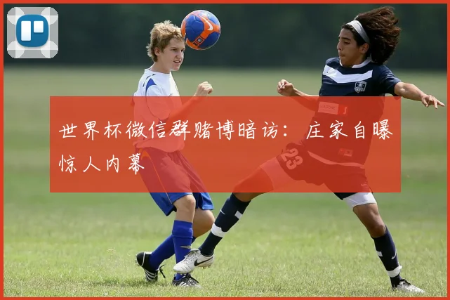 世界杯微信群赌博暗访:庄家自曝惊人内幕