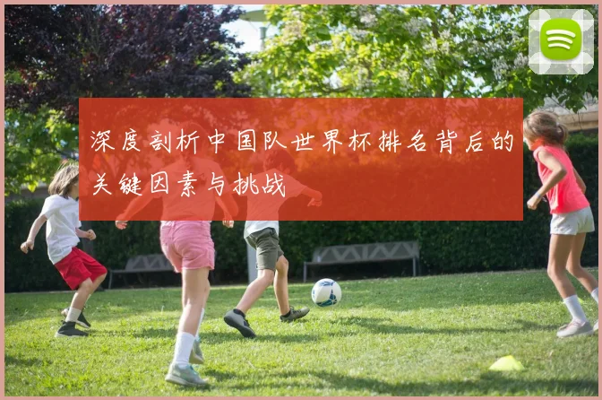 深度剖析中国队世界杯排名背后的关键因素与挑战